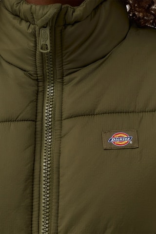 Gewatteerde Jas Alatna - Kaki - Dickies