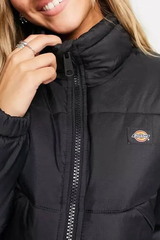 Korte Gewatteerde Jas Alatna - Zwart - Dickies