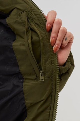Lange Gewatteerde Jas Alatna - Kaki - Dickies