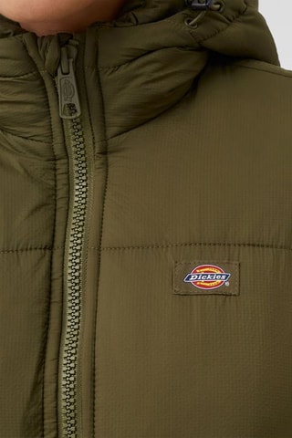 Lange Gewatteerde Jas Alatna - Kaki - Dickies