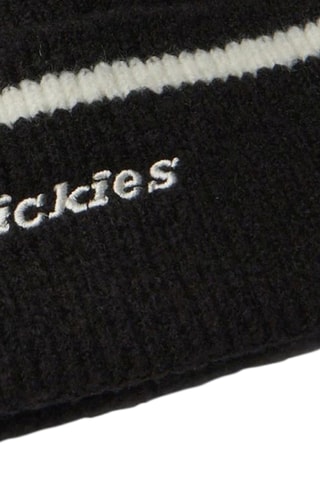 Muts Chalkville - Zwart - Dickies