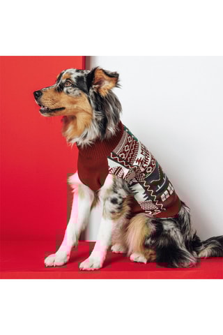 Trui voor Hond - Rood en Wit