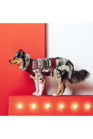 Trui voor Hond - Rood en Wit