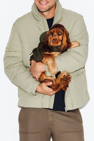 Jas voor Hond - Kaki