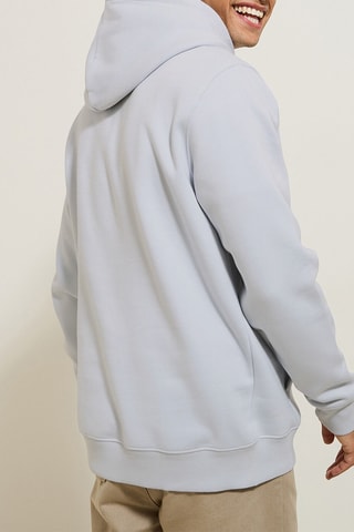 Sweater met Capuchon - Lichtgrijs