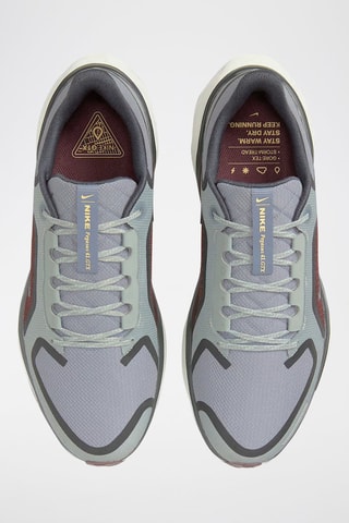 Pegasus 41 - Gris clair - Nike