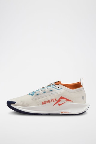 Nike Pegasus Trail 5 GORE-TEX - Gris clair