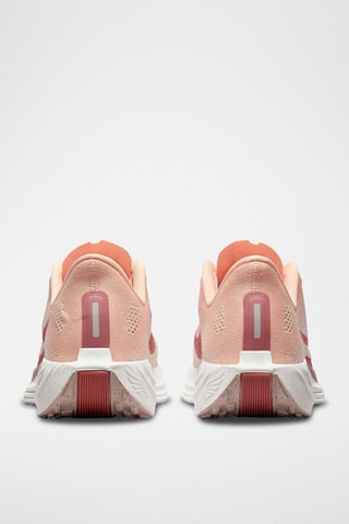 Nike Pegasus Plus - Saumon