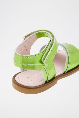 Lakleren Sandalen Bimba Irisee Felgroen