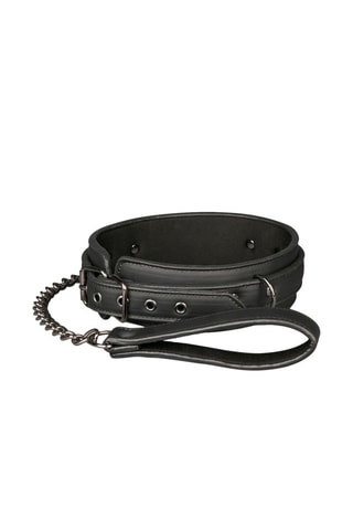 Collier et laisse 
Noir