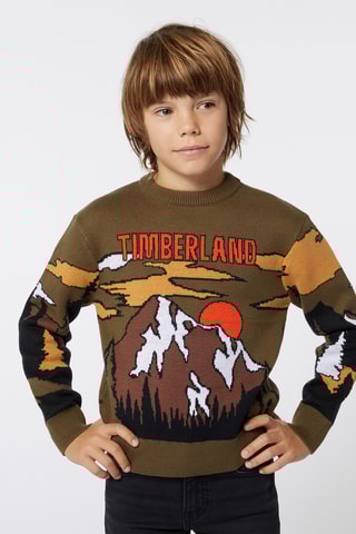 Pull - Kaki et marron - Timberland