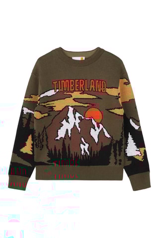 Pull - Kaki et marron - Timberland