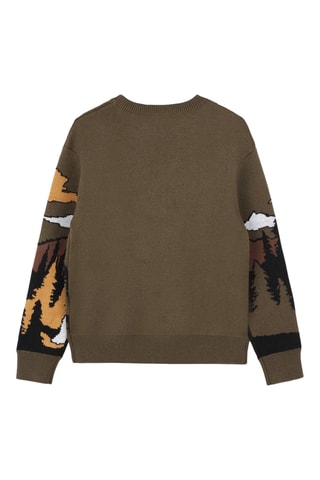 Pull - Kaki et marron - Timberland