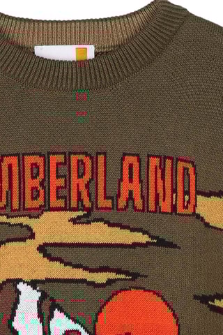 Pull - Kaki et marron - Timberland