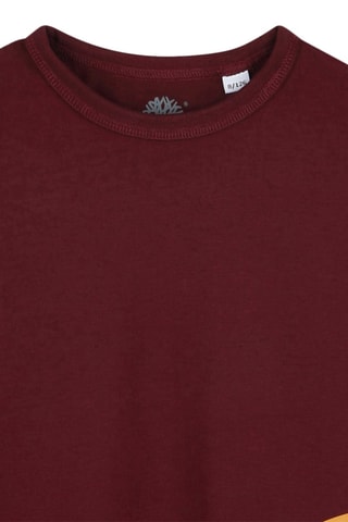 T-shirt en coton biologique - Bordeaux - Timberland
