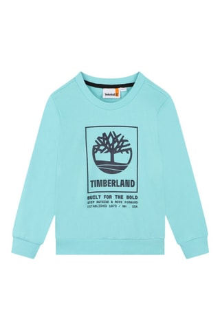 Sweat en coton biologique - Bleu - Timberland