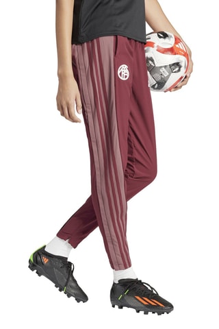 Pantalon de football FC Bayern Munich - Bordeaux