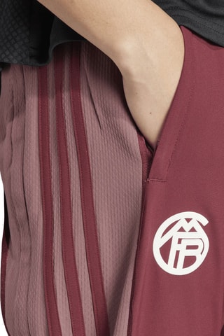 Pantalon de football FC Bayern Munich - Bordeaux