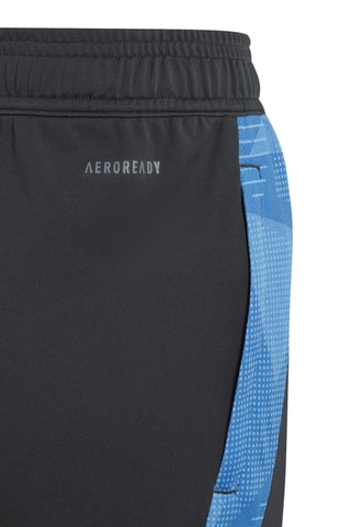 Pantalon de football Équipe d'Argentine de football - Bleu nuit