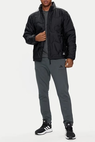 Pantalon d'entraînement WO DK PT - Gris