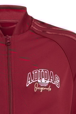 Veste Collegiate Graphic Pack SST - Bordeaux