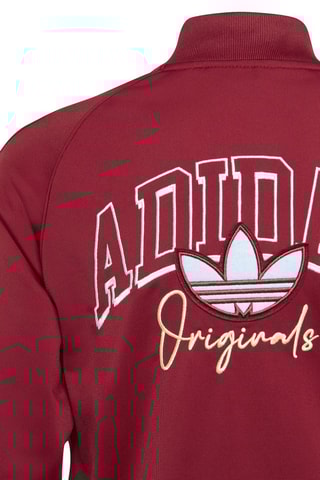 Veste Collegiate Graphic Pack SST - Bordeaux