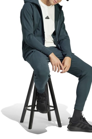 Veste à capuche zippée Z.N.E. Winterized - Gris