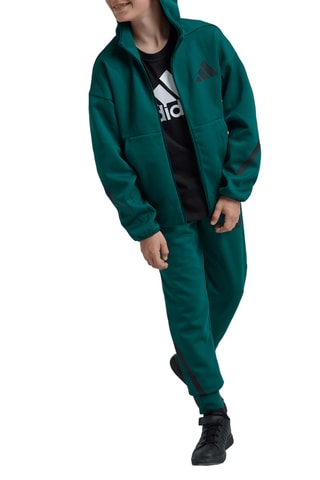 Veste de survêtement à capuche Z.N.E. - Vert