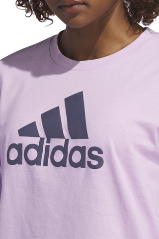 T-shirt W Bos Clasic LS - Mauve