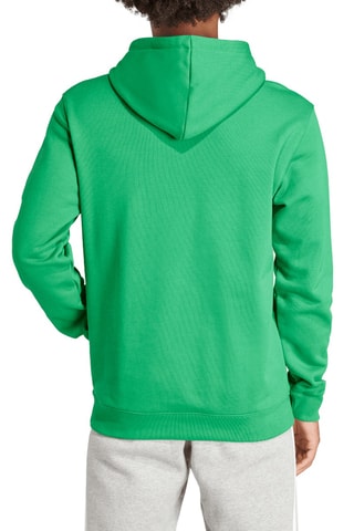 Sweat à capuche Adicolor - Vert clair