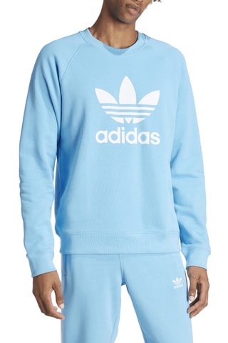 Sweat Trefoil Crew - Ciel