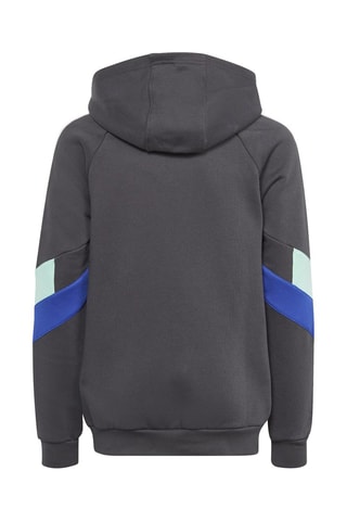 Sweat à capuche Rekive Anthracite