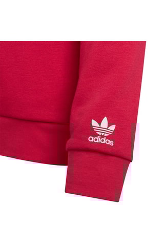 Sweat à capuche Adicolor Rouge