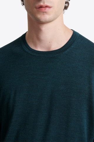 Camisola em lã merino - Verde