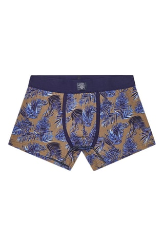 Boxers - Caqui e azul