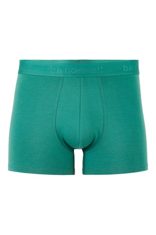 Boxer - Groen