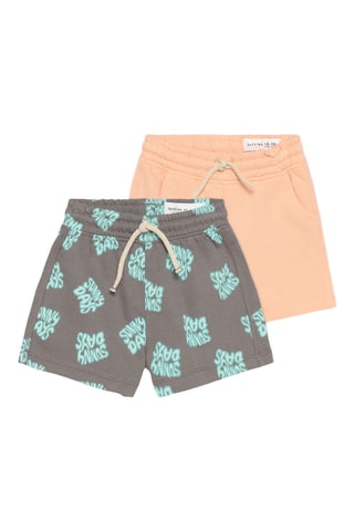 2 shorts - Saumon et gris