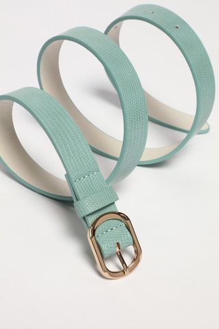Ceinture - Vert d’eau