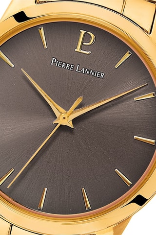 Montre à quartz en acier Roxane - Doré et gris foncé
