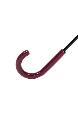 Parapluie cloche Lotso Toy Story Disney Pixar - Transparent