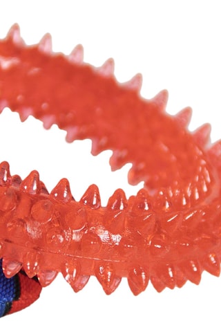 Kauwspeeltje Spider-Man Avengers Marvel - Rood