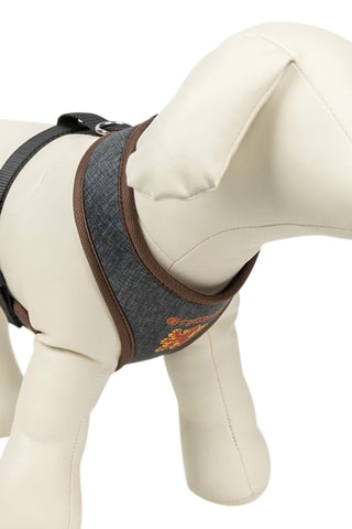 Omkeerbaar Hondenharnas Gryffondor Harry Potter - Rood en Marineblauw