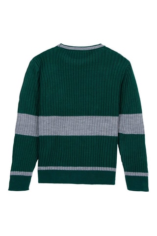 Trui Slytherin Harry Potter - Groen en Grijs