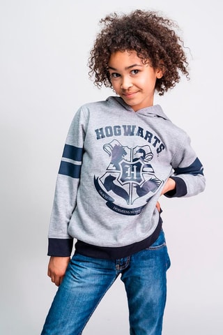 Sweat à capuche Harry Potter - Gris