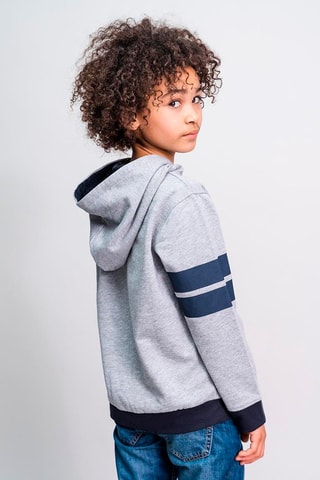 Sweat à capuche Harry Potter - Gris