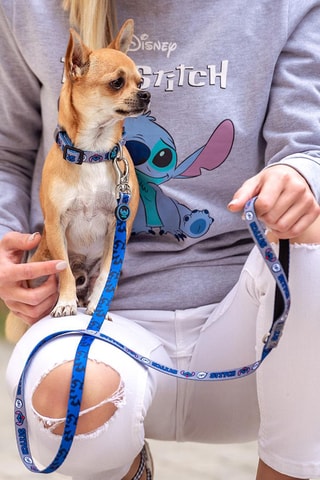 Ketting voor Hond M/L Stitch Lilo en Stitch Disney - Blauw