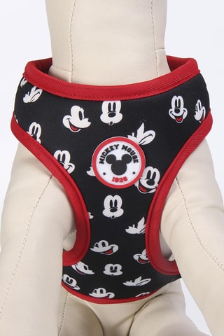 Harnas voor honden Mickey Disney- Zwart en Rood