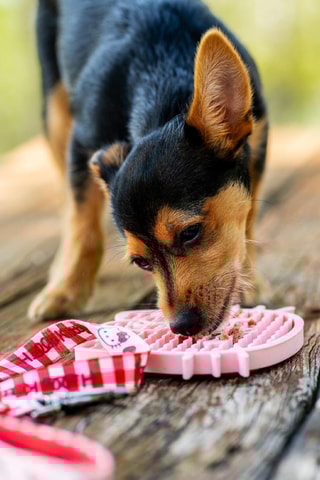 Inklapbare Silicone Voerbak voor Hond Hello Kitty Sanrio - Roze