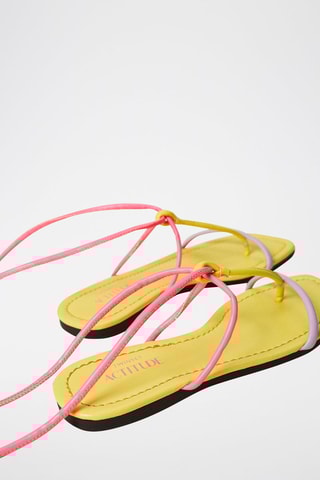 Spartiates Rose et jaune