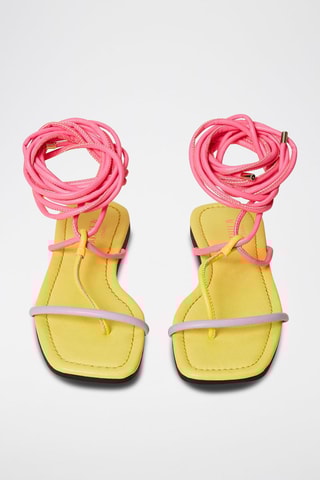 Spartiates Rose et jaune